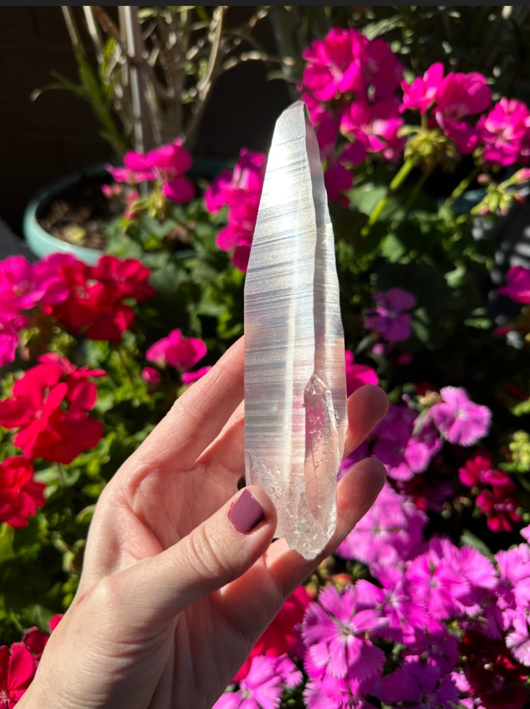 Extra Quality Natural Lemurian Laser Quartz Crystal from Brazil