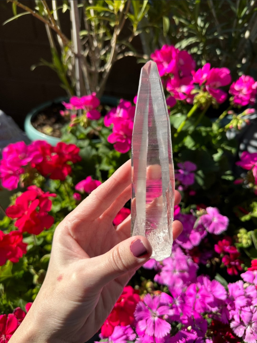 Extra Quality Natural Lemurian Laser Quartz Crystal from Brazil