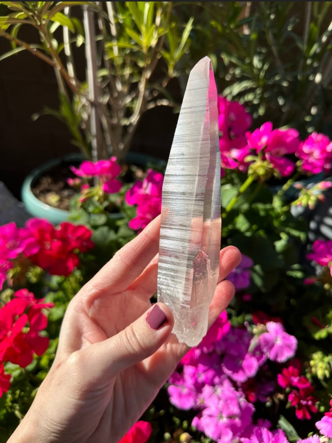 Extra Quality Natural Lemurian Laser Quartz Crystal from Brazil