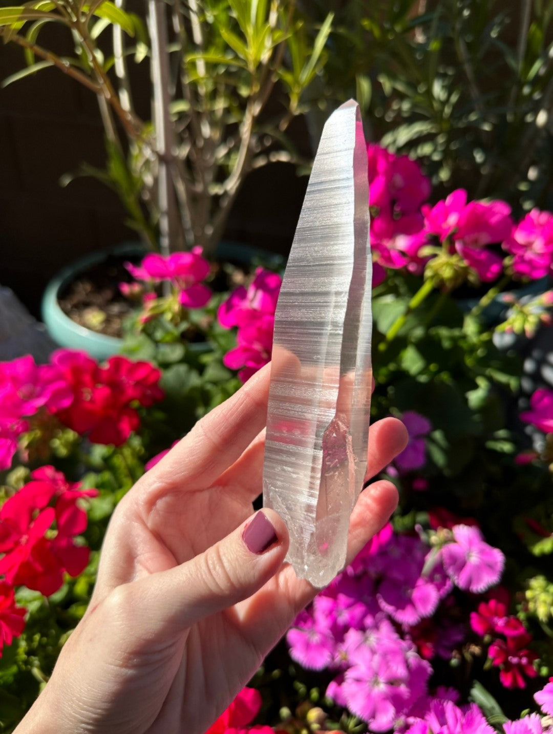 Extra Quality Natural Lemurian Laser Quartz Crystal from Brazil