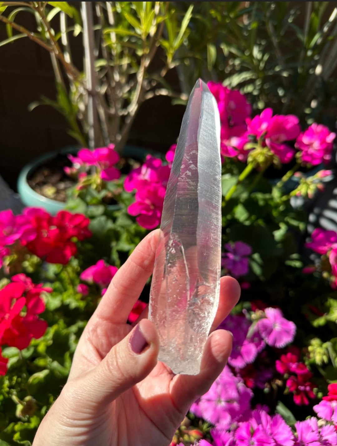 Extra Quality Natural Lemurian Laser Quartz Crystal from Brazil