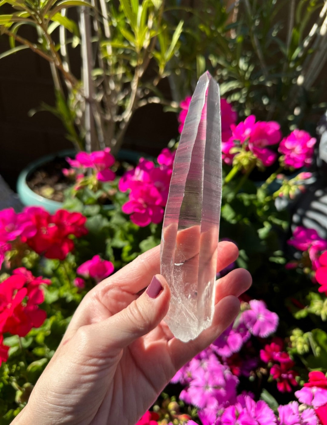 Extra Quality Natural Lemurian Laser Quartz Crystal from Brazil