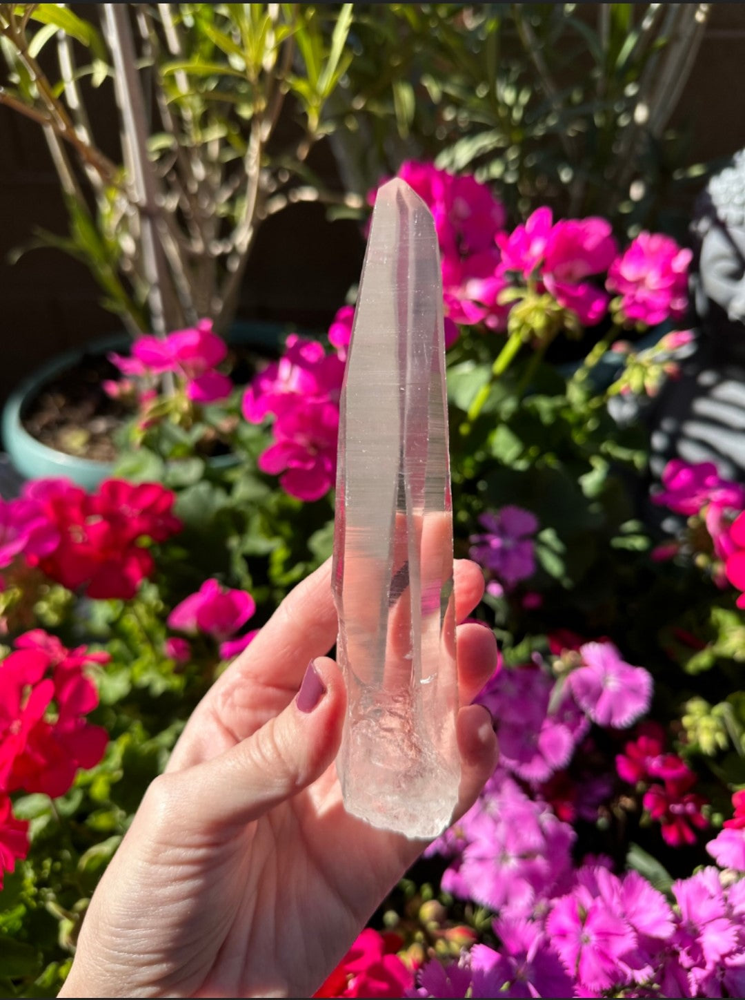 Extra Quality Natural Lemurian Laser Quartz Crystal from Brazil