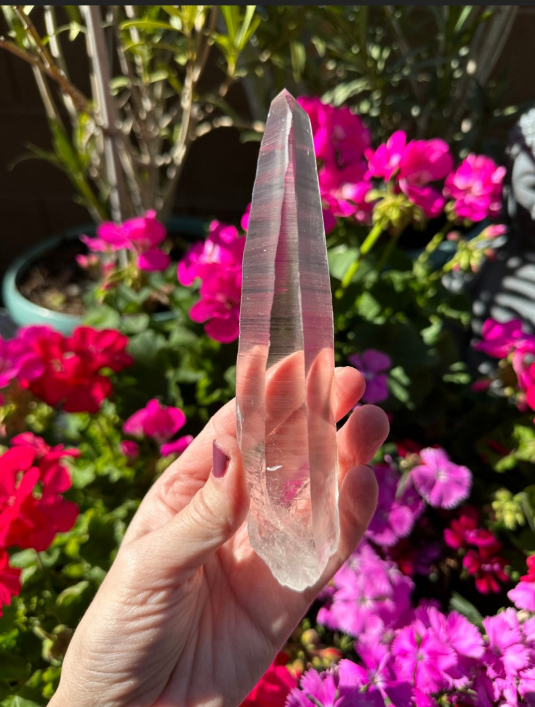 Extra Quality Natural Lemurian Laser Quartz Crystal from Brazil