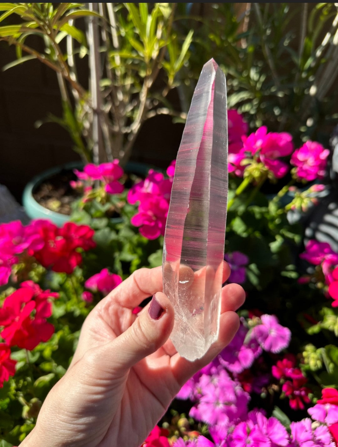 Extra Quality Natural Lemurian Laser Quartz Crystal from Brazil