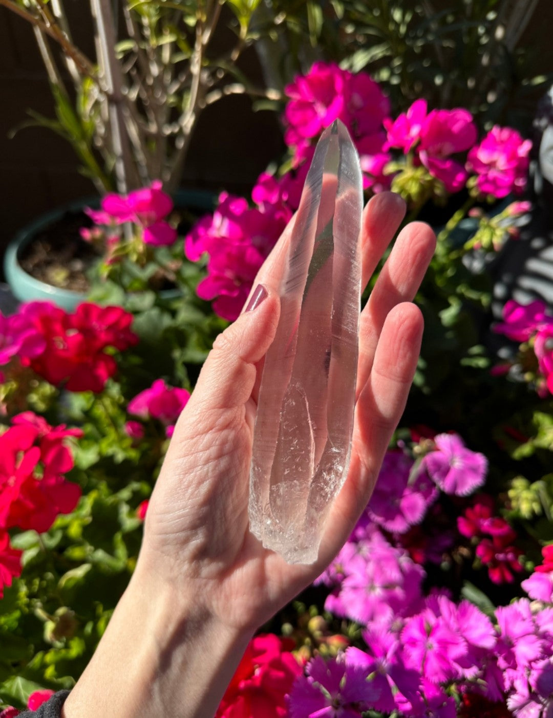 Extra Quality Natural Lemurian Laser Quartz Crystal from Brazil