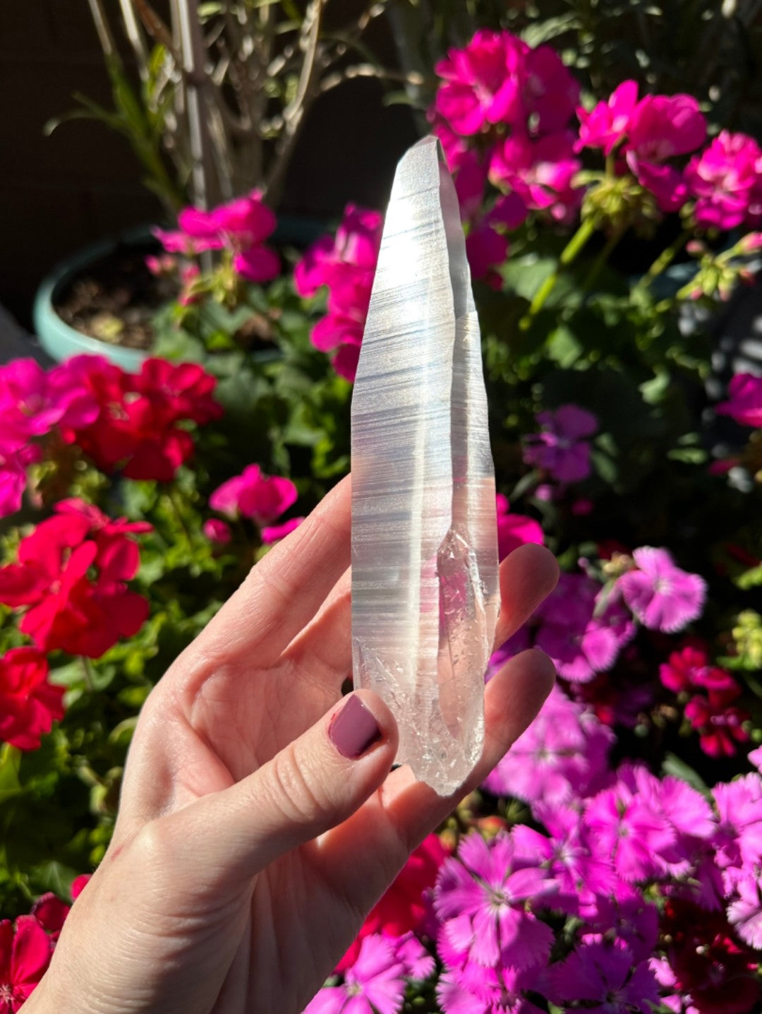 Extra Quality Natural Lemurian Laser Quartz Crystal from Brazil